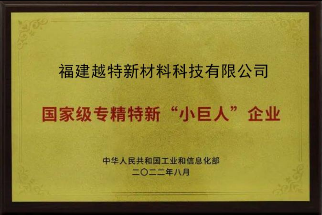 国家专精特新小巨人