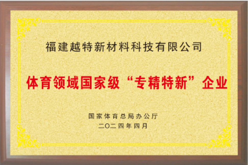 体育领域国家级